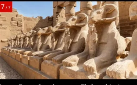 الأقصر بين أعرق مدن العالم وأهم 10 وجهات سياحية في الهند وفقًا للصحف