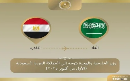 وزير الخارجية يزور السعودية لحضور قمة ميونخ في العلا