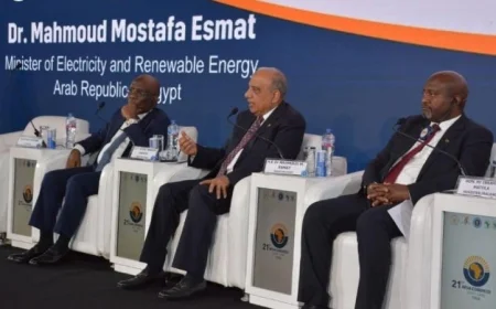وزير الكهرباء: مصر تركز على تعزيز وتطوير الطاقة المستدامة