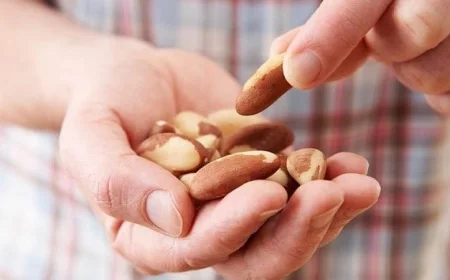 اكتشف سر تناول المكسرات دون زيادة الوزن مع نصائح الخبراء