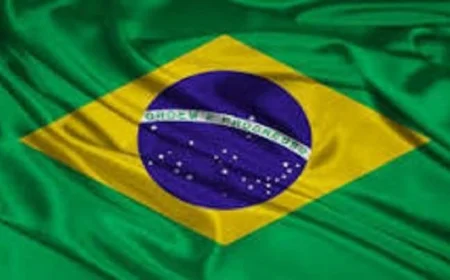 البرازيل تدين بشدة اعتراض إسرائيل لأسطول المساعدات المتجه إلى غزة