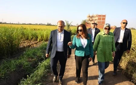 د. منال عوض في جولة مفاجئة تطالب بسرعة جمع قش الأرز للاستفادة منه وحمايته من الحرق