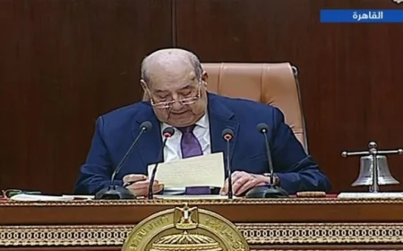 مجلس الشيوخ يشيد بموقف مصر الثابت من القضية الفلسطينية بفضل قيادة الرئيس السيسي