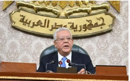 رئيس مجلس النواب جبالى: ممارسة الرئيس السيسي لصلاحياته الدستورية تجسد روح الديمقراطية الحقيقية