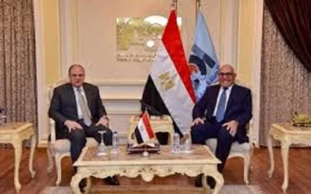 دعم توطين الصناعة الدوائية محور لقاء الغمراوي ورئيس الهيئة العربية للتصنيع