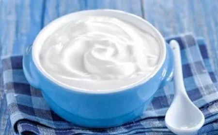 دراسة تكشف: فوائد الزبادي بعد التمرين في حماية العضلات من الالتهابات