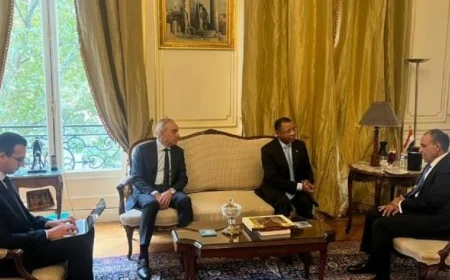 وزير الخارجية يثني على دعم موزمبيق للمرشح الأفريقي والعربي خالد العناني