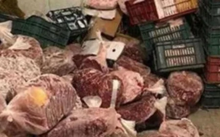 الزراعة: مصادرة أكثر من 270 طن من اللحوم الفاسدة