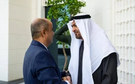 تعزيز العلاقات الثنائية محور محادثات رئيس الإمارات ورئيس وزراء اليمن