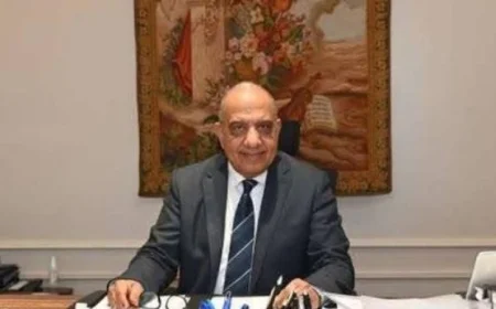 تعزيز التعاون بين وزير الكهرباء ومسئولي شركة صينية في مجالات الطاقة المتجددة