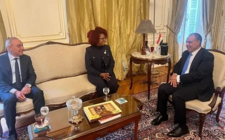 وزير الخارجية يثني على دعم موريشيوس والجابون لمرشح مصر لمنصب اليونسكو