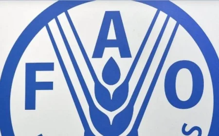 انخفاض أسعار الأغذية العالمية في سبتمبر بحسب الفاو