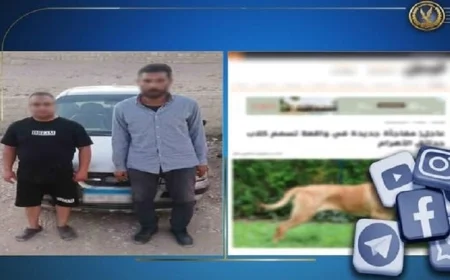 إلقاء القبض على شخصين لتسميم كلاب ضالة بالطعام