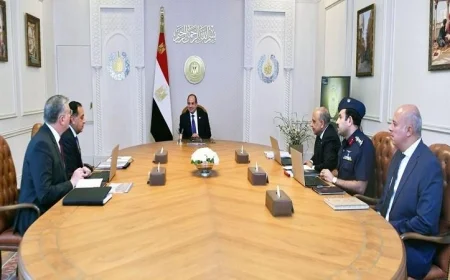 السيسي يأمر بتسريع استكمال التغذية الكهربائية لمشروع الدلتا الجديدة