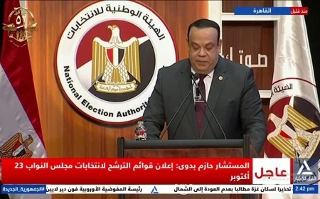 انطلاق المرحلة الأولى لانتخابات النواب في 7 نوفمبر للمصريين بالخارج و10 نوفمبر في الداخل