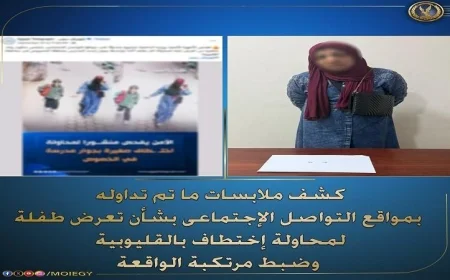 وزارة الداخلية تفضح تفاصيل اختطاف طفلة وسرقة قرطها الذهبي في القليوبية