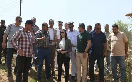 محافظ البحيرة تتابع عن كثب ارتفاع منسوب النيل في كوم حمادة