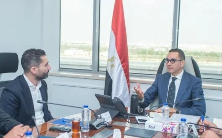 وزير الاستثمار يبحث تعزيز الشراكات الاستثمارية مع وفد شركة LDV