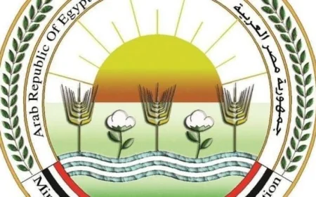 مصر تستضيف منتدى الأرز الأفريقي الثلاثاء القادم: اكتشف الأحداث والفعاليات المنتظرة