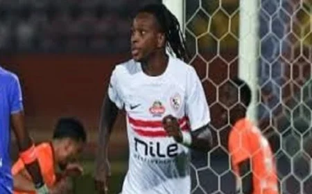 نادي إشتريلا دا أمادورا يقدم شكوى رسمية ضد الزمالك لعدم تسديد المستحقات المتأخرة