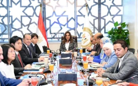 منال عوض: سرعة إنشاء مصانع بدائل البلاستيك تعزز التنمية في المدن المصرية