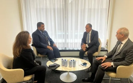 وزير الخارجية يشيد بموقف الإمارات الداعم لترشيح د. العناني لمنصب في اليونسكو