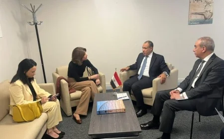 عبدالعاطي يثني على دعم البرازيل للمرشح العربي والإفريقي لمدير اليونسكو