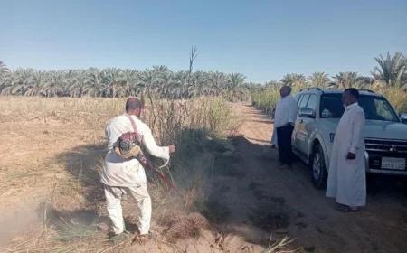 رئيس بحوث الصحراء يزور محطة سيوة لتعزيز دعم الزراعة العضوية