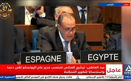 عبد العاطي: ترشيح العناني لمنصب مدير عام اليونسكو يحظى بدعم واستحسان كبير