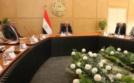 لجنة استغلال العناصر الأرضية النادرة في الكهرباء تستعرض سبل تعزيز العوائد الاقتصادية