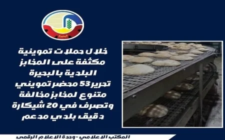 حملات تفتيشية قوية لضبط الأسواق والمخابز البلدية في البحيرة