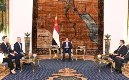 الرئيس السيسى يلتقى المبعوث الأمريكى الخاص وكبير مستشارى ترامب لتعزيز العلاقات الثنائية