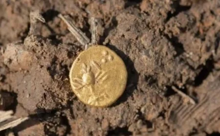 اكتشاف مذهل لمئات العملات السلتية القديمة تعود لعصر 2000 عام