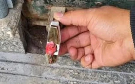 الداخلية تنفذ حملات قوية وتحرر 134 مخالفة ضد المحلات المخالفة لقرار الإغلاق