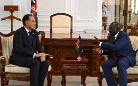 الرئيس الكيني يناقش مع رئيس الوزراء آفاق التعاون المشترك لتعزيز العلاقات الثنائية