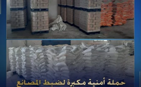 حملة شاملة لمكافحة المصانع والمخازن غير المرخصة في مديرية أمن الإسماعيلية