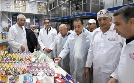 مدبولي يؤكد التزام الدولة بتقديم الدعم الكامل للمشروعات الصناعية الجادة