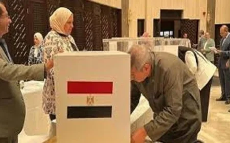 قنصل مصر في هونج كونج يحث الجالية المصرية على المشاركة في انتخابات النواب