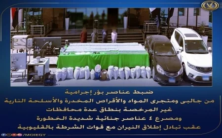 الشرطة تضبط أكثر من 359 كيلو جرام من المخدرات المتنوعة في حملة أمنية شاملة
