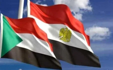 عضو مجلس السيادة يثني على دعم مصر المستمر للسودان