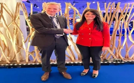 المشاط تستعرض سبل تعزيز التعاون مع نائب رئيس البنك الآسيوي للاستثمار