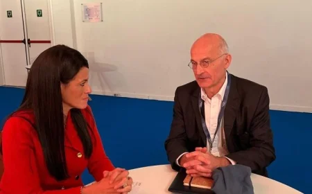 المشاط تبحث تعزيز الاستثمارات مع نائب رئيس شركة ألستوم الفرنسية العالمية