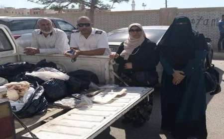 ضبط لحوم مفرومة ودواجن فاسدة في المنوفية تكشف عن خطر صحي للمستهلكين