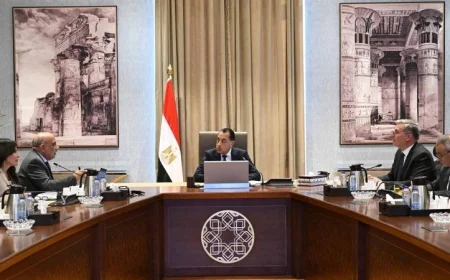 رئيس الوزراء يستعرض تقدم مشروعات الطاقات المتجددة ويقوم بمتابعتها عن كثب