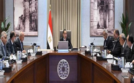 رئيس الوزراء يشدد على أهمية تأمين اللحوم الحمراء في الأسواق لضمان تلبية احتياجات المواطنين