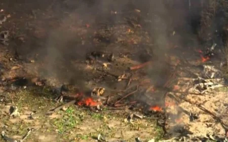 انفجار مدوي في مصنع أمريكي يؤدي إلى إصابة 16 شخصا في حادث مأساوي