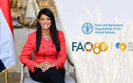 المشاط تسافر إلى روما للمشاركة في المنتدى العالمي للأغذية الفاو