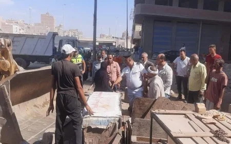 نائب محافظ القليوبية ت spearhead حملة واسعة النطاق لإزالة الإشغالات بشارع بهتيم