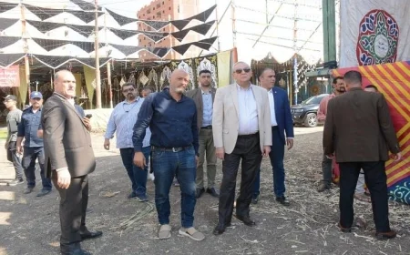 محافظ الغربية يرصد عن كثب انتظام الخدمات حول مسجد السيد البدوي