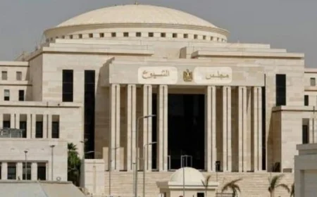 مجلس الشيوخ يضم 268 عضوًا من الرجال و32 سيدة و19 حزبًا برئاسة مستقبل وطن و11 مستقلًا